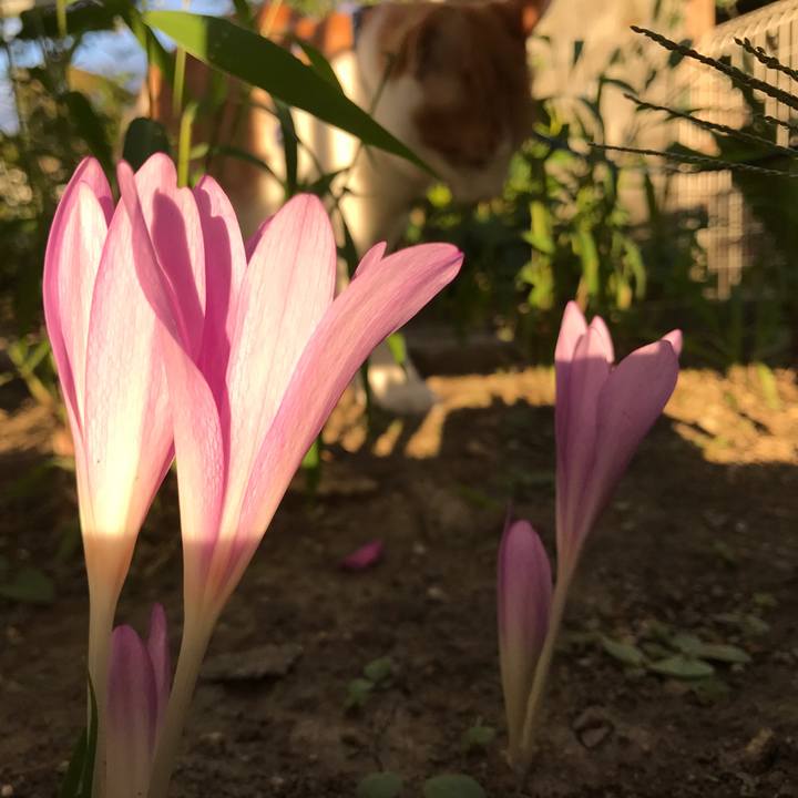 7caf60dc eb9e 47bd 8ba5 c9c71e1290fb