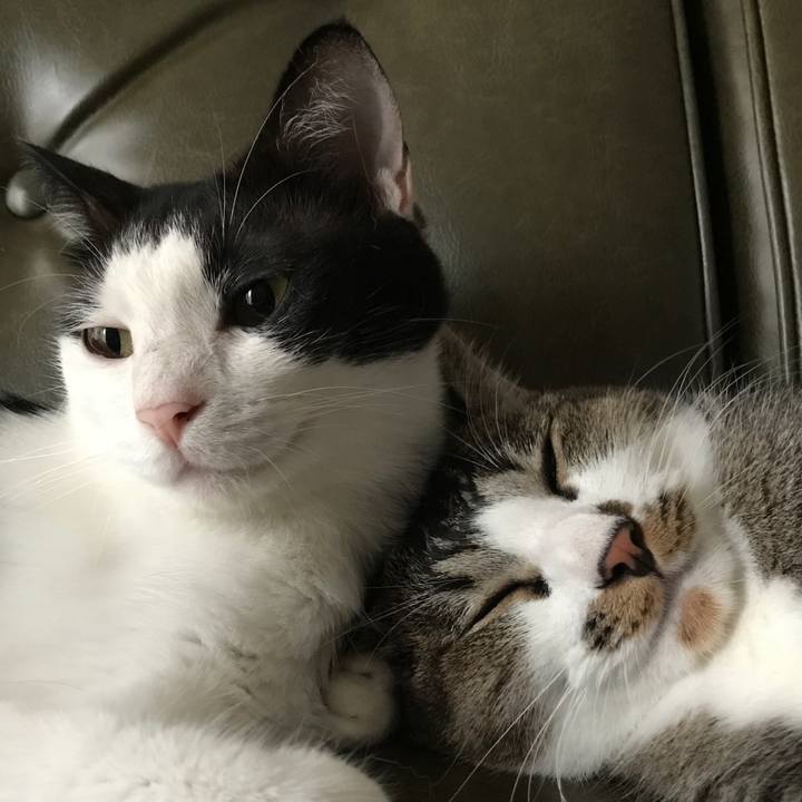 7caf9467 6e37 4a31 b66c 8c6541641f3c