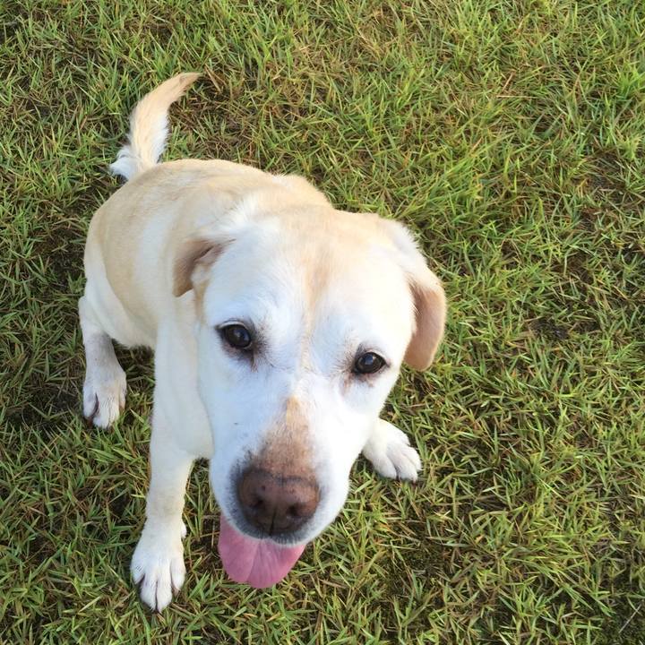 7cafbc98 17f0 4346 9e52 2e6de2461423