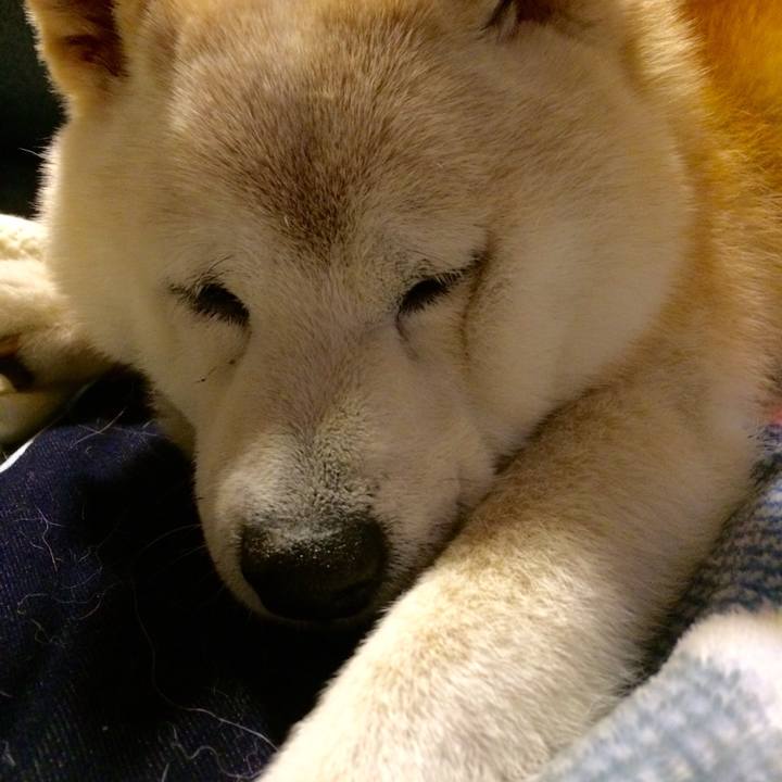 7caff6f5 6359 45b0 a958 e78ec0d9f9bd