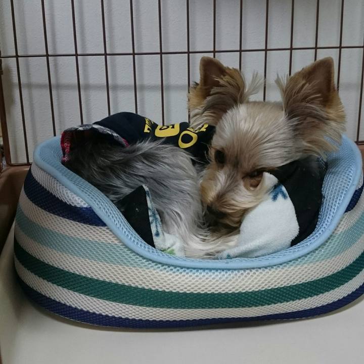 7cb047fe 35e6 455e addd c9f4abaf8946