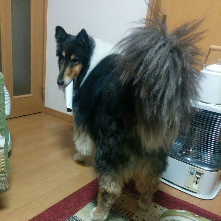 7cb05a93 8099 414d 91dc c93706cb8bab