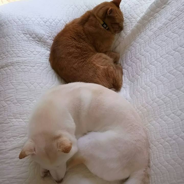 7cb07109 acb5 4691 9370 9cc7857287cc