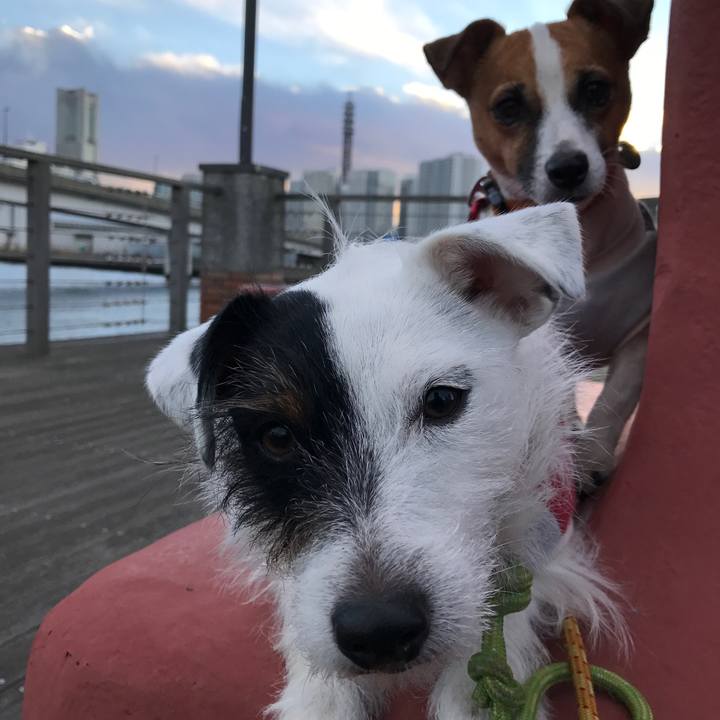 7cb07f45 d62d 4c1d b9be 0dcf39b6cbe0