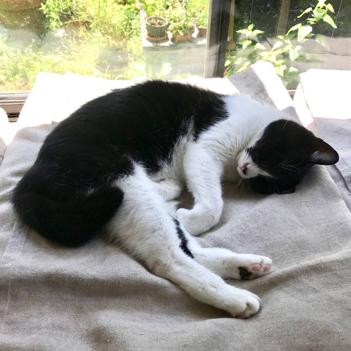 7cb0d7d1 bd94 4cf8 b4e8 58fe049b335c