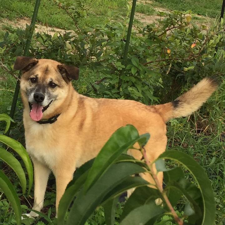 7cb17442 7169 44e3 9cb2 71af3d5f7556