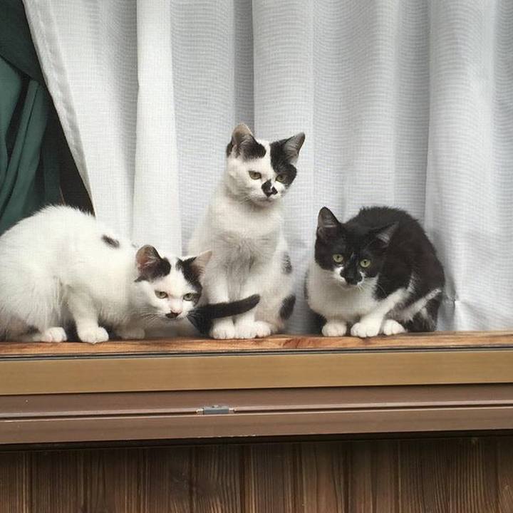 7cb1e204 e45a 41fc 8b14 d1d7e9d51eef