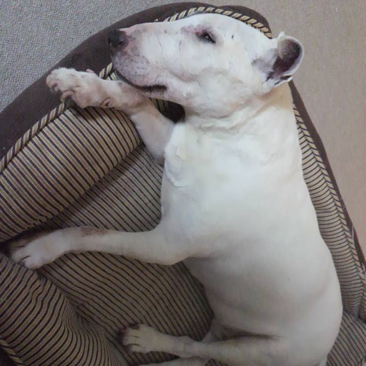 7cb20086 4066 4ae0 8281 7114b77d2552