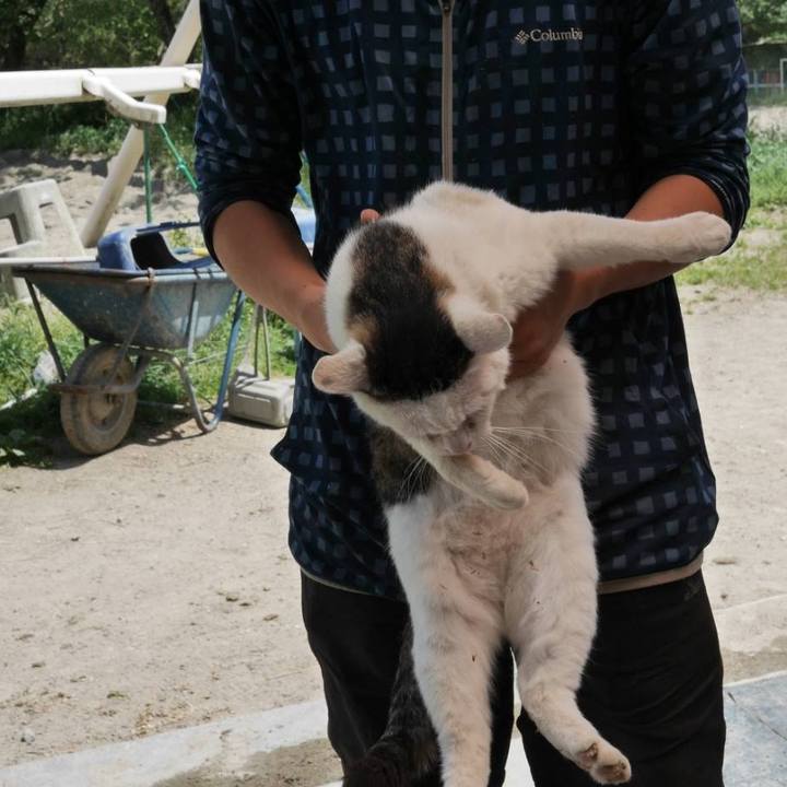 7cb3643e 4811 4ead 8608 fb8f7063ef42