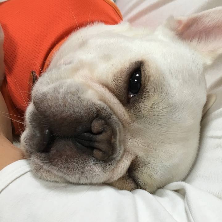 7cb37179 e613 4795 a4ac 1f3f72807bf8