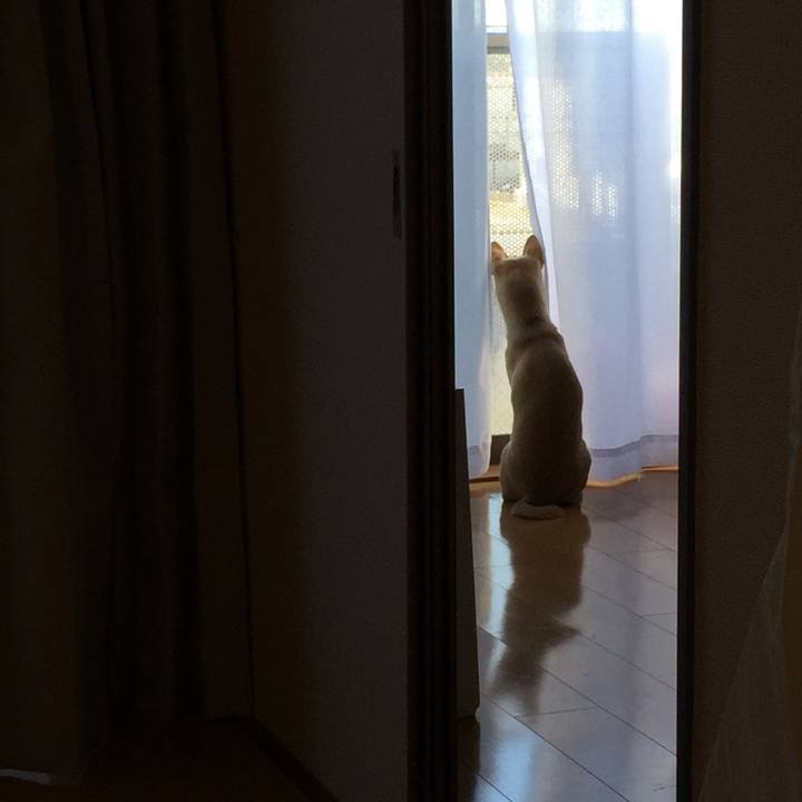 7cb3a6ae 7cc8 49e9 bf1c fe92f7b4d317