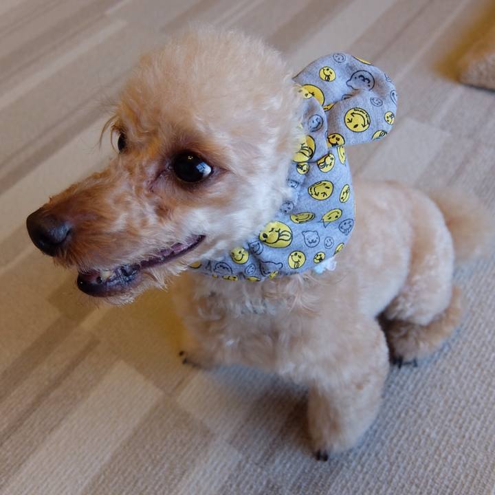 7cb436ad e3dc 408b 8895 26a971bd4681