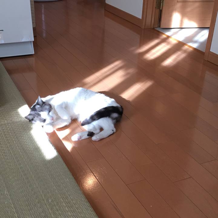 7cb47aec 860b 4a76 b9f3 f3e0fe9234ef