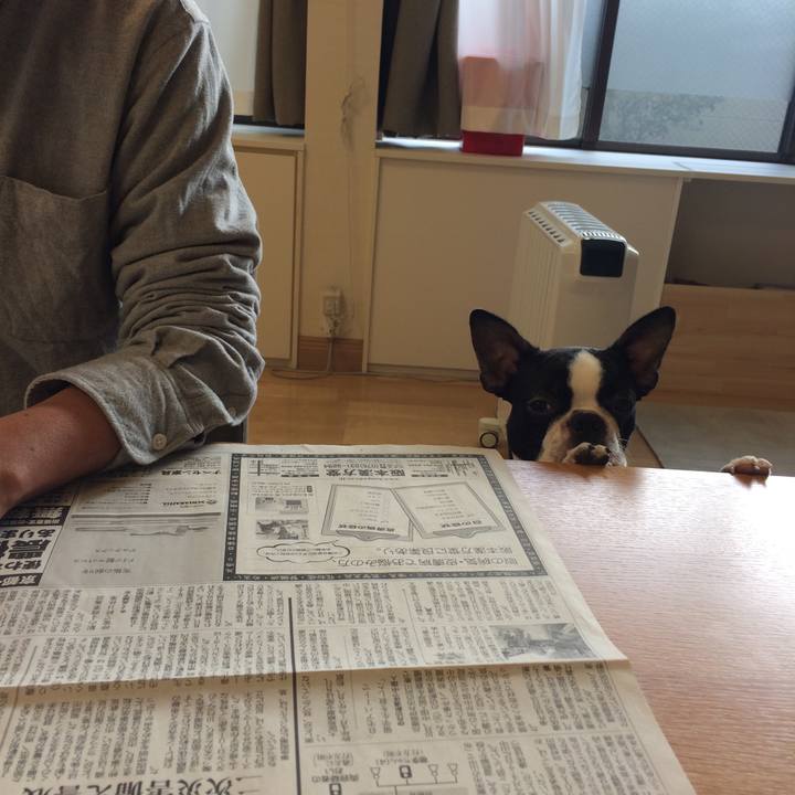 7cb59edc 0b68 4eed 8c7e 90665231cdea