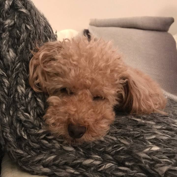 7cb6c788 5c4d 4713 b802 cf3a55657599