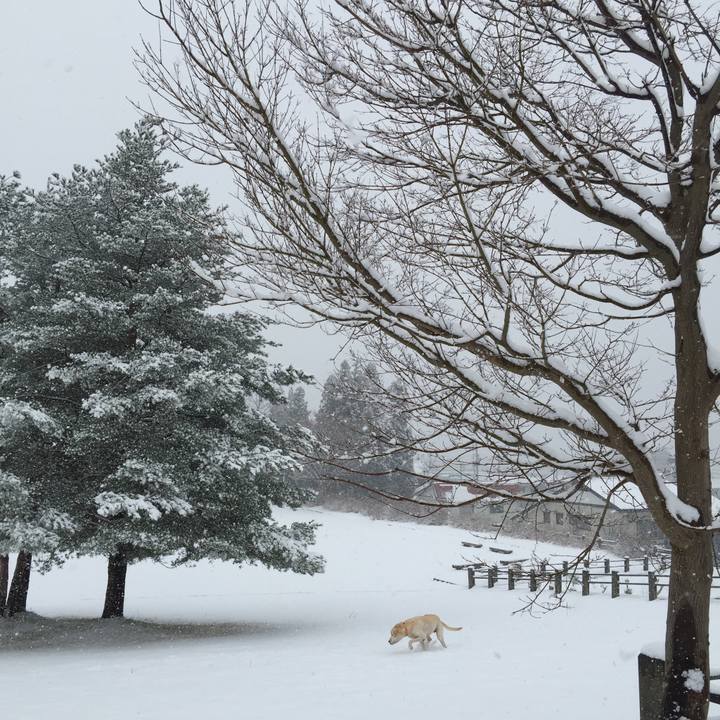 7cb70a1c 5d5a 44f8 9870 a0b52ea7b4c7