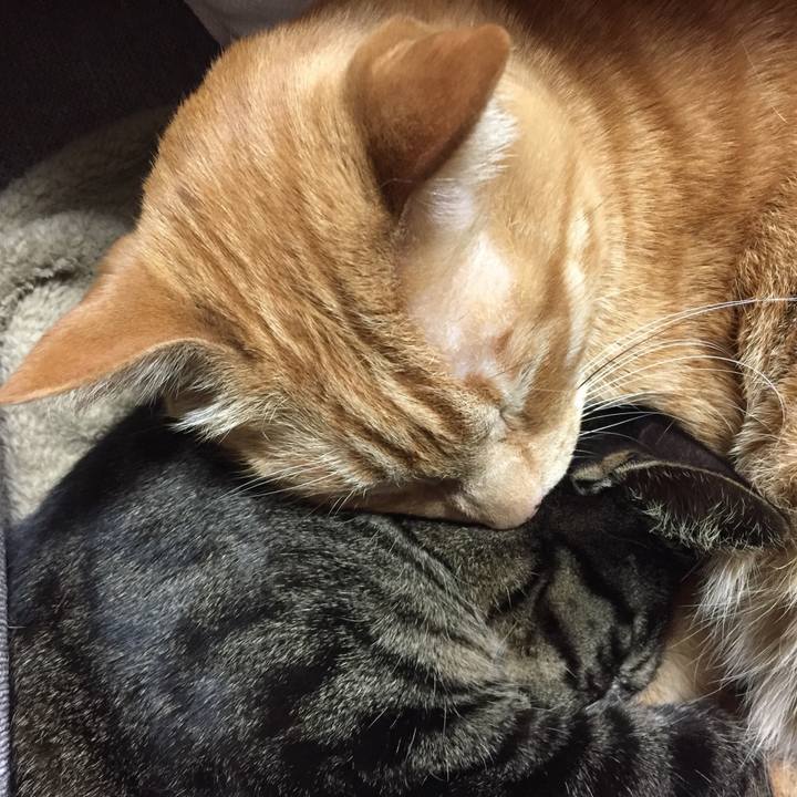 7cb79ea9 92b4 4517 9d22 beb1e5280850