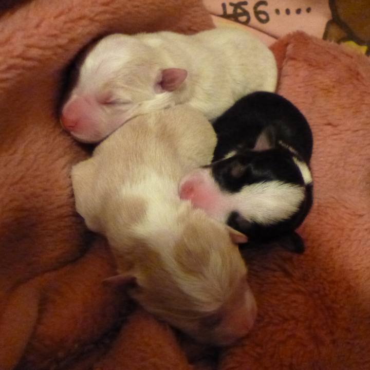 7cb7c8a5 96c5 4efc a7c7 6d6c35edfd44