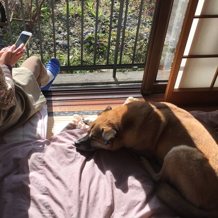 7cb817ba 1e83 4b0b b5fd bd1d34ec7565