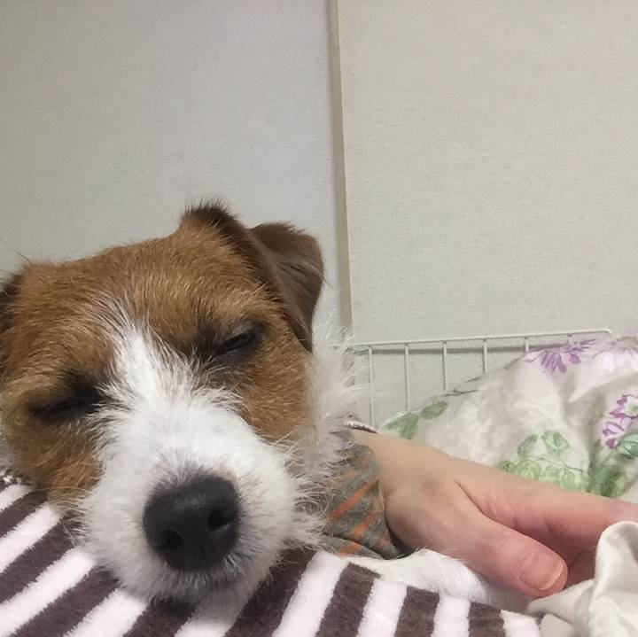 7cb855fa 3f7b 44ec a5f4 475a7f4fcdc3