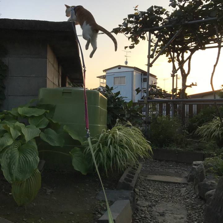 7cb8c414 9f46 4e0c a8f4 28902913d6a5