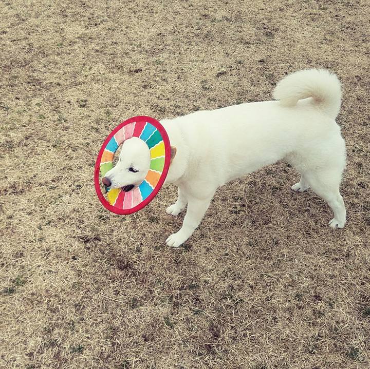 7cb91008 d52f 4f36 88df e3ba394c688c