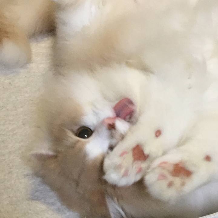 7cb96e7a 8687 4a9d 954e 725a192698ba