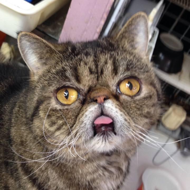 7cb98129 5395 438c bbe8 51a6549e8592