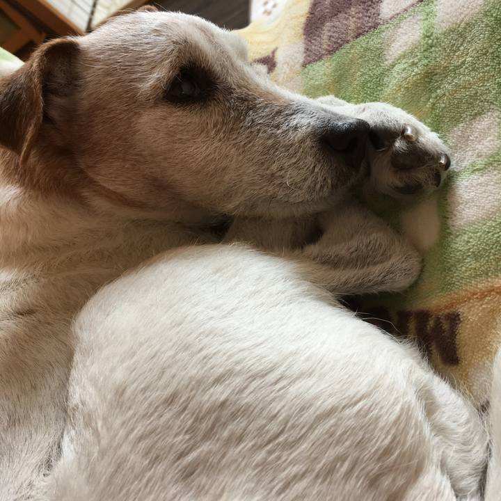 7cb988be 69cf 4ed1 a239 50b000da9f29