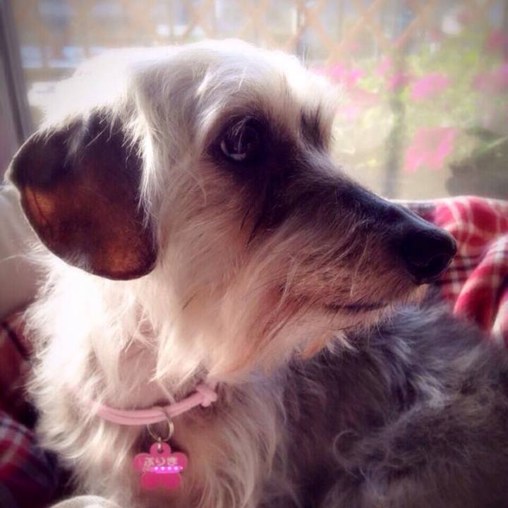 7cb9a15e b7e7 43dc a8e3 528d22ccd8e1