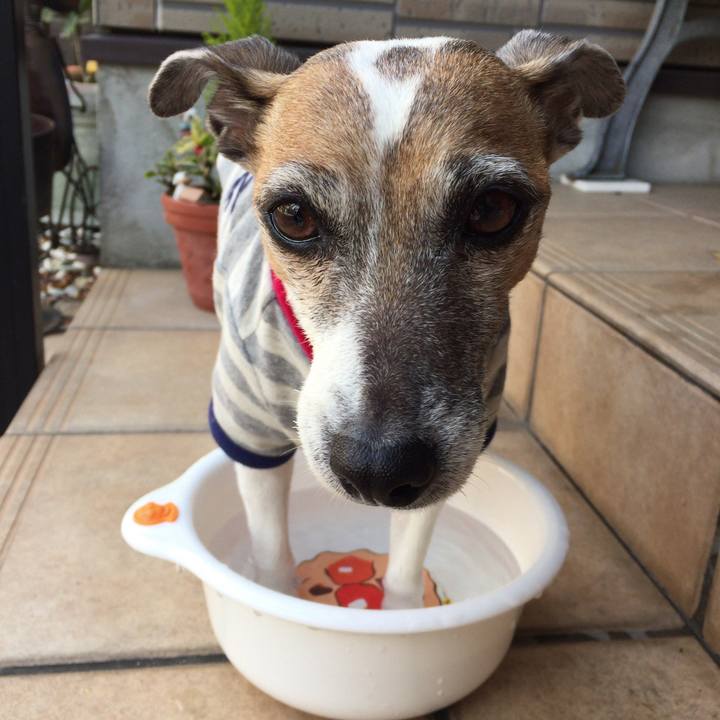 7cb9fa3c 50d5 423c be6f 81cbd57966f4