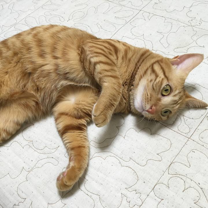 7cbb80e0 5fd7 418d a955 f39fd913dc07