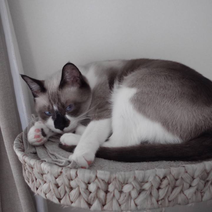 7cbb9dbe 8460 469d aa13 71b8ac2948e6