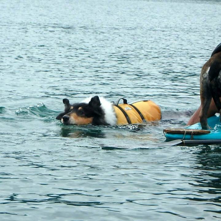 7cbbed1b 2bbc 4e86 9515 57fd4ebc2f56