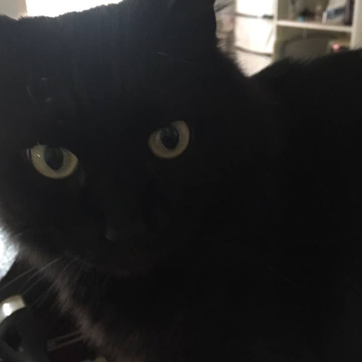 7cbc3935 9889 4ff2 a873 5c754b660267