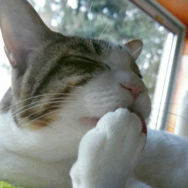 7cbc5c61 5727 44bd 9941 0f4f8a5663f5