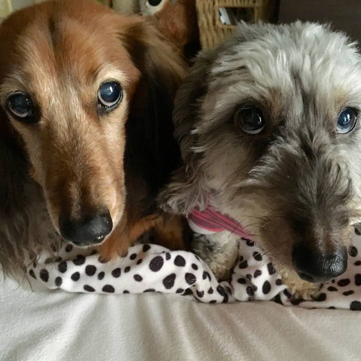 7cbc8f74 5250 4042 a9d8 da15c0bce1bd