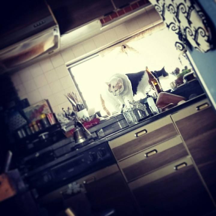 7cbc93ab 3bfa 4acf 8c92 c89bc50adddf