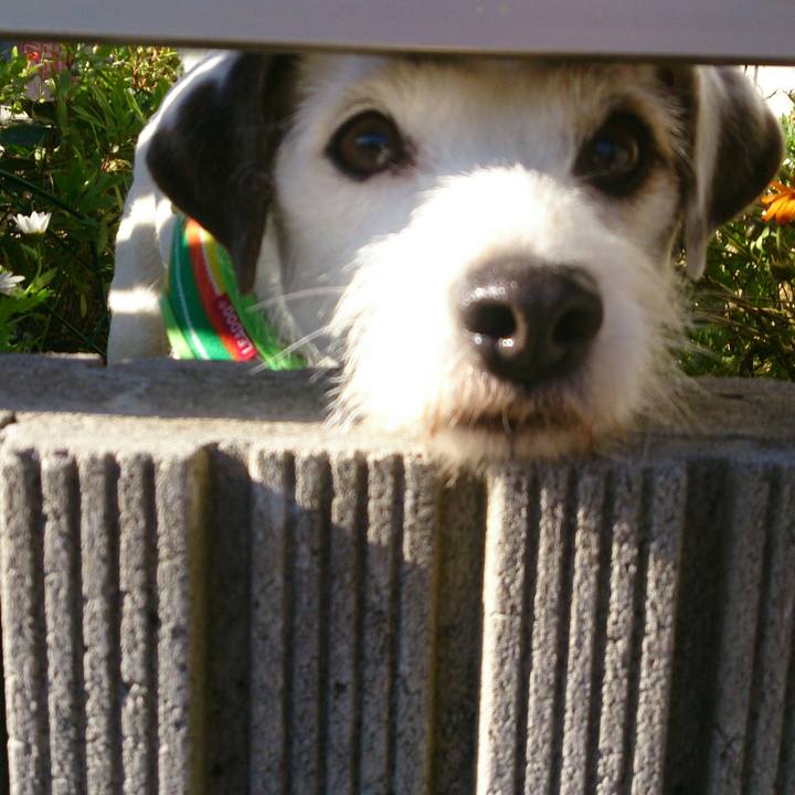 7cbceafe 9b16 4de8 a261 db294b2f25c5