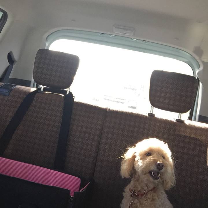 7cbd1f2f 245d 48d8 93df a479d6195042