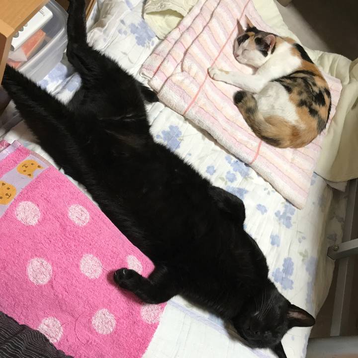 7cbdfef8 58bc 41e3 8394 0415020dda10