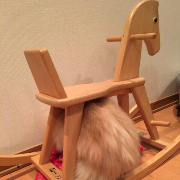 7cbea685 e8d5 4e80 a8c7 cb4a638dd510