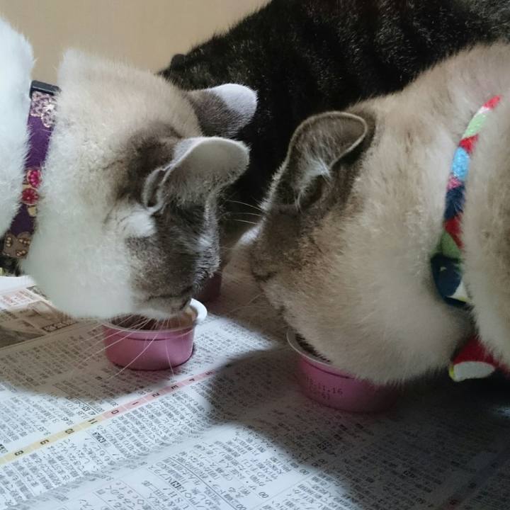 7cbed829 d68a 495d b1bc d4b976568e1e