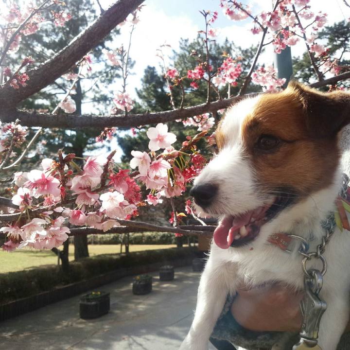 7cbef53b eed1 42e6 8837 0ac7b0e4590b