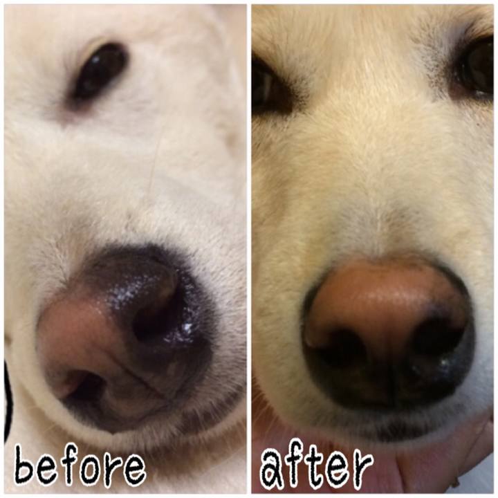 7cbf3acf 368e 481d 9013 611fd6a4d72c