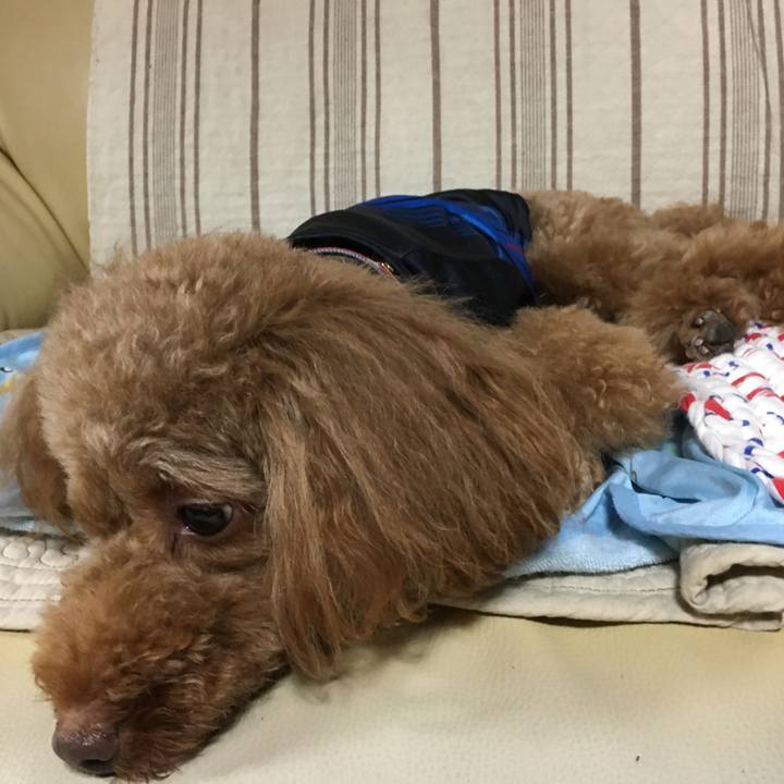 7cc06abb 6307 4bd7 95f6 a12bcba7ec5d