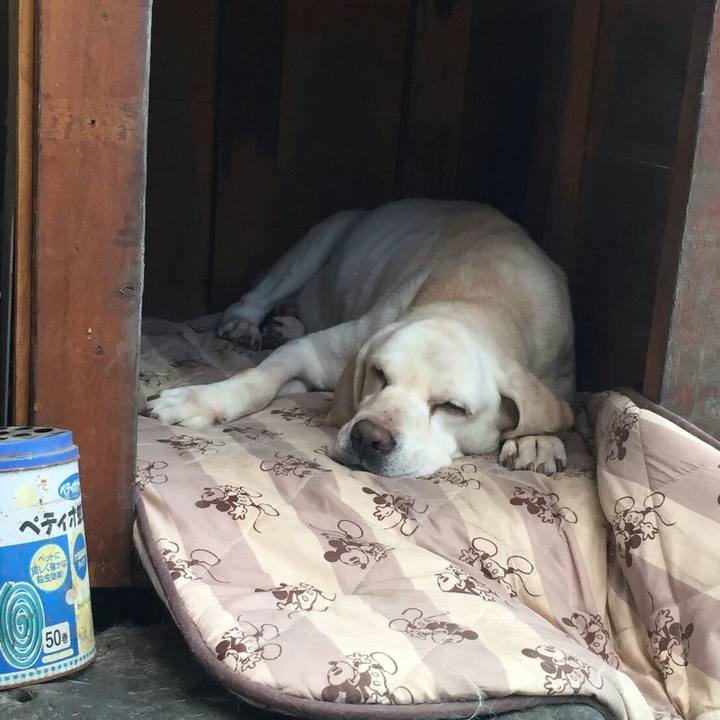 7cc08de0 ca81 4149 9ee9 ddbe619b843e