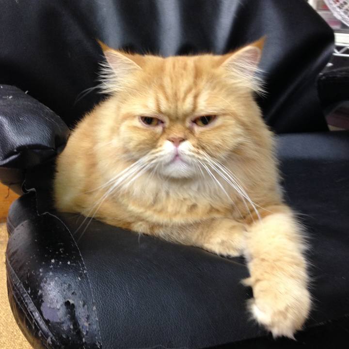 7cc0aee1 37ad 4543 a34b ccb001a0bb93