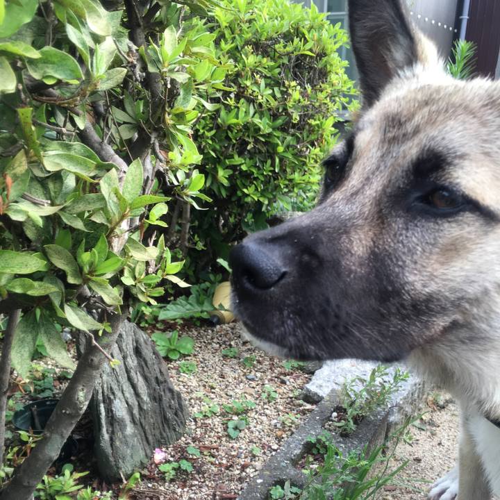 7cc12594 bd75 4946 80f6 3b150bc8eb14