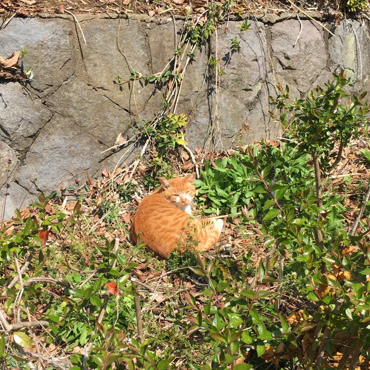 7cc19ba4 4359 4fc5 9a82 5510d0339cb3